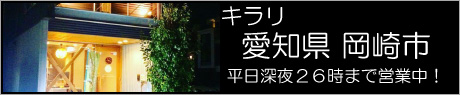 愛知県岡崎市キラリ